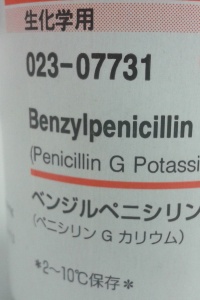 自宅でペニシリン 抗生物質 を作る方法 バイオハッカー ジャパン